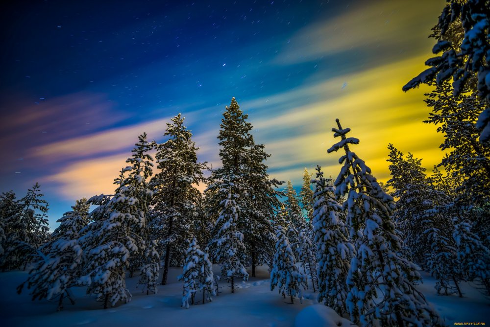 Север Финляндии природа