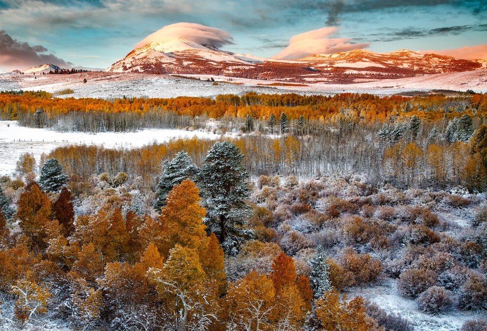 Поздняя осень в Сибири