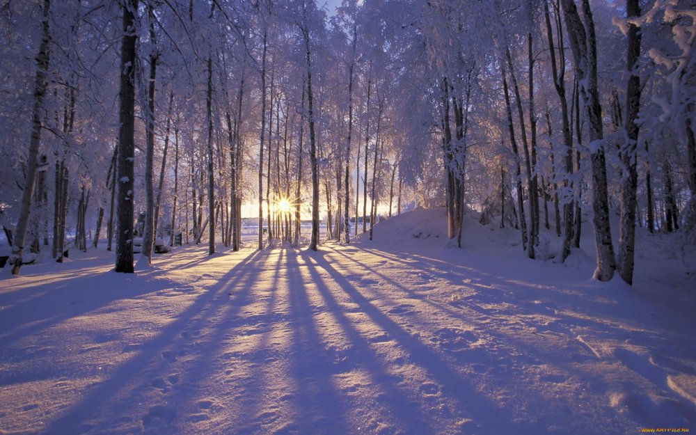 Красивая Снежная зима