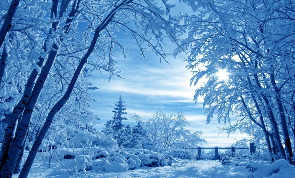 Красивый зимний пейзаж фон