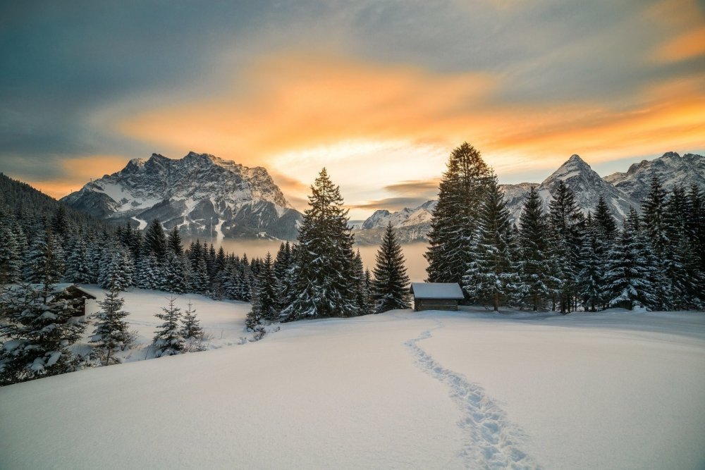 Заснеженный лес Альпы Австрия