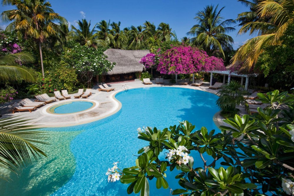 Мальдивы пальмы бунгало бассейн