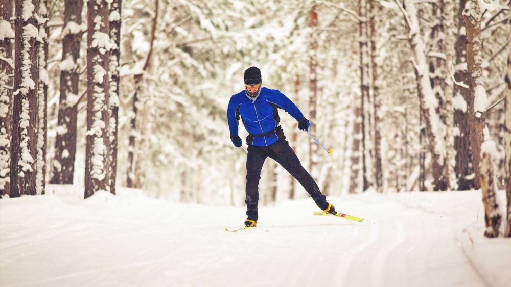 Катание на беговых лыжах