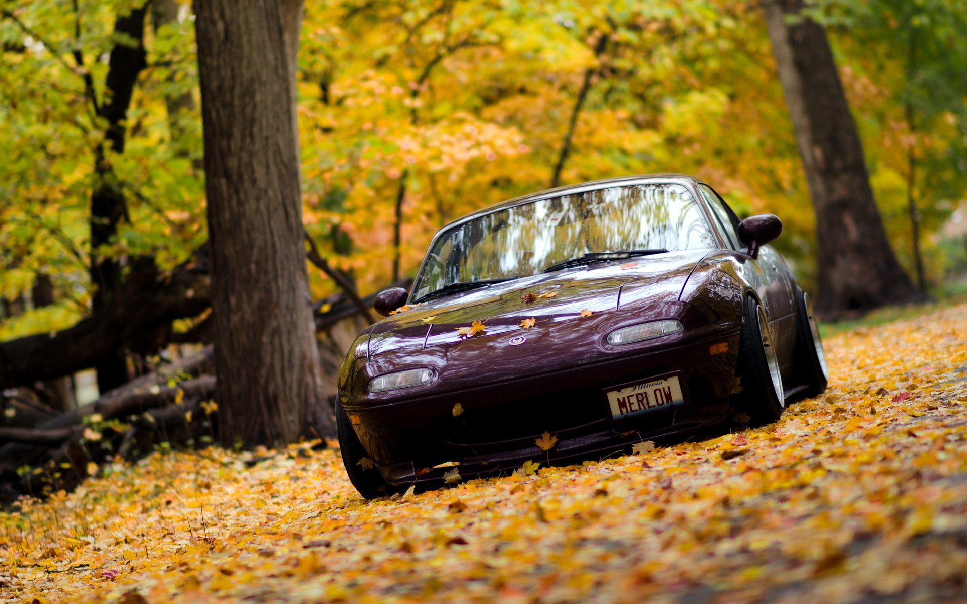 Осень автомобили. Mazda Miata осенью. Mx5 Mazda осень. Машина осенью. Машина в осеннем лесу.