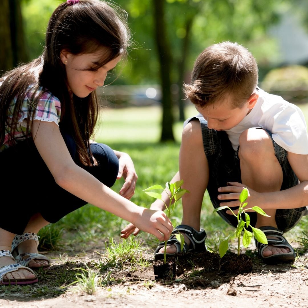 Дети сажают самолет. Дети сажают цветы. Сажа это для детей. Высаживание ребенка на природе. Посадка деревьев детьми.