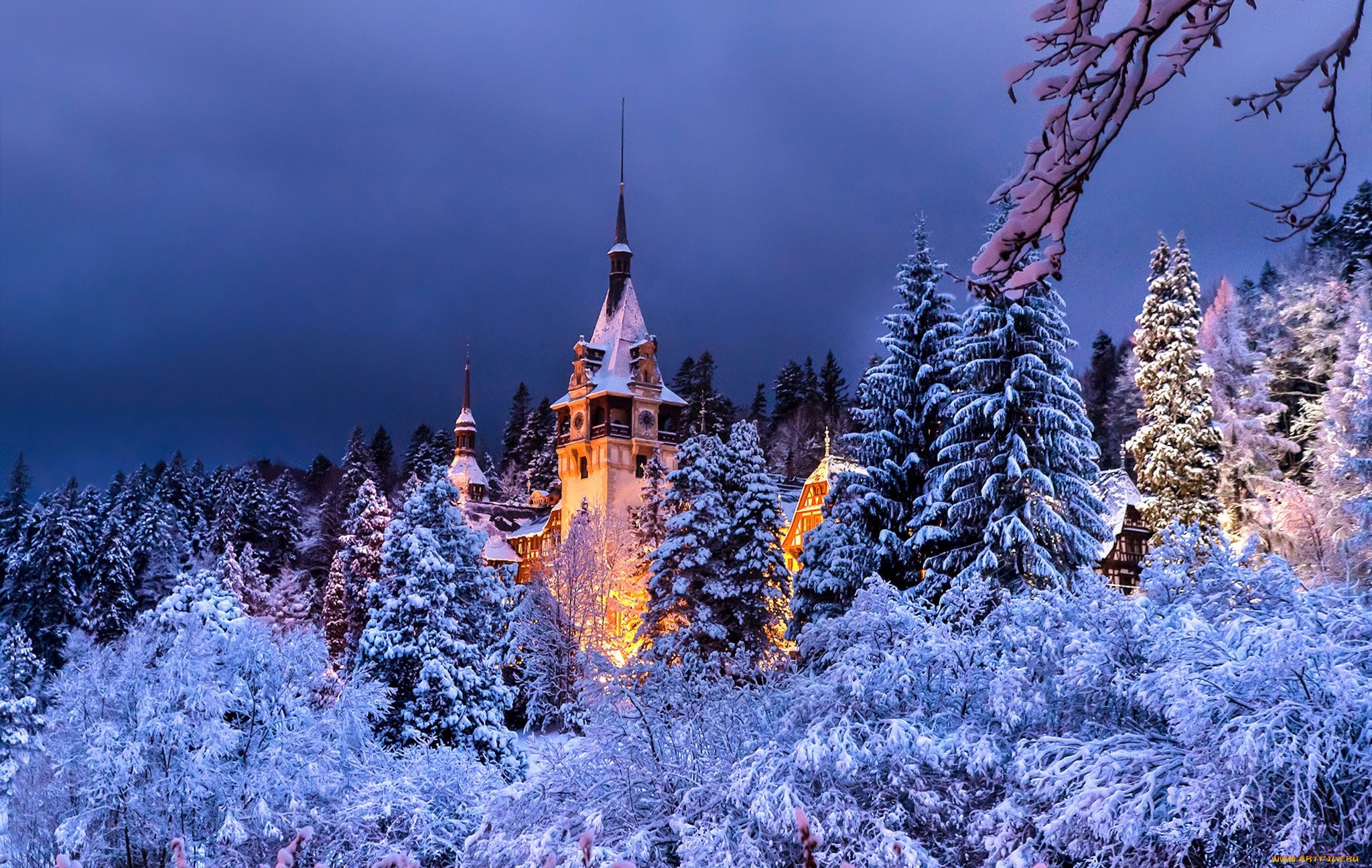 Зимняя сказка. Трансильвания Румыния зимой. Зимнича Румыния. Рождественская Синая Румыния. Замок в Румынии в лесу.