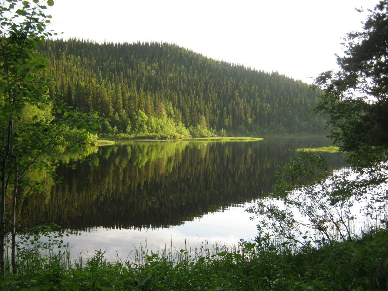 Карельский лес и озеро