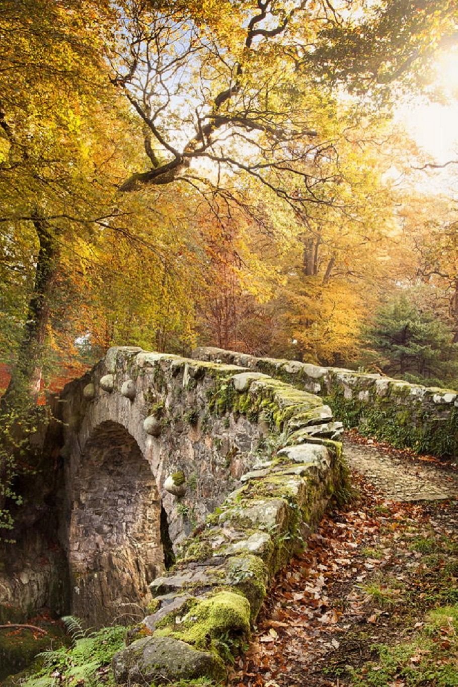 Осень в Ирландии