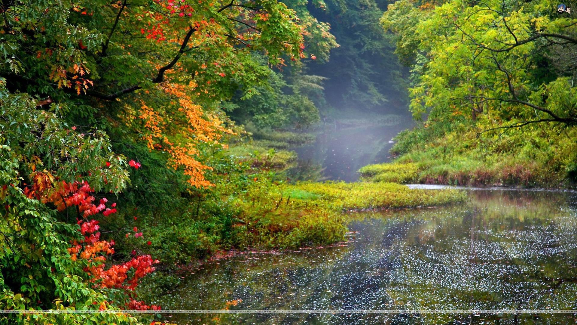 Качество после 1080. Осенний пейзаж. Красивая осень. Природа дождь. Осень дождь.