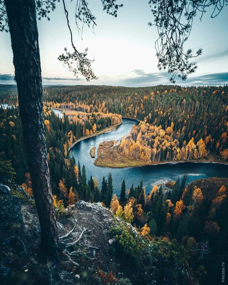 Финляндия Хельсинки природа