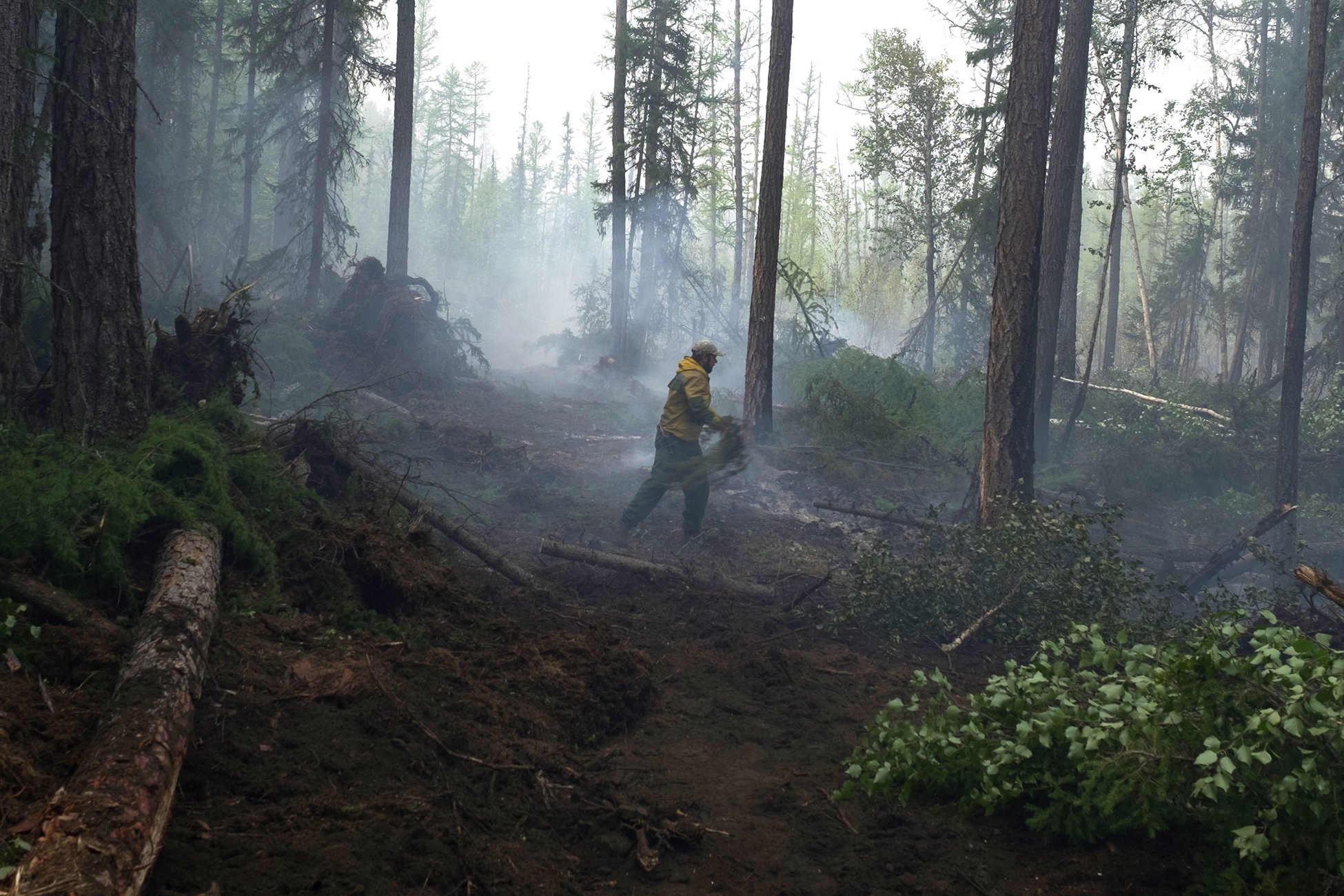 Вырубка леса пожар