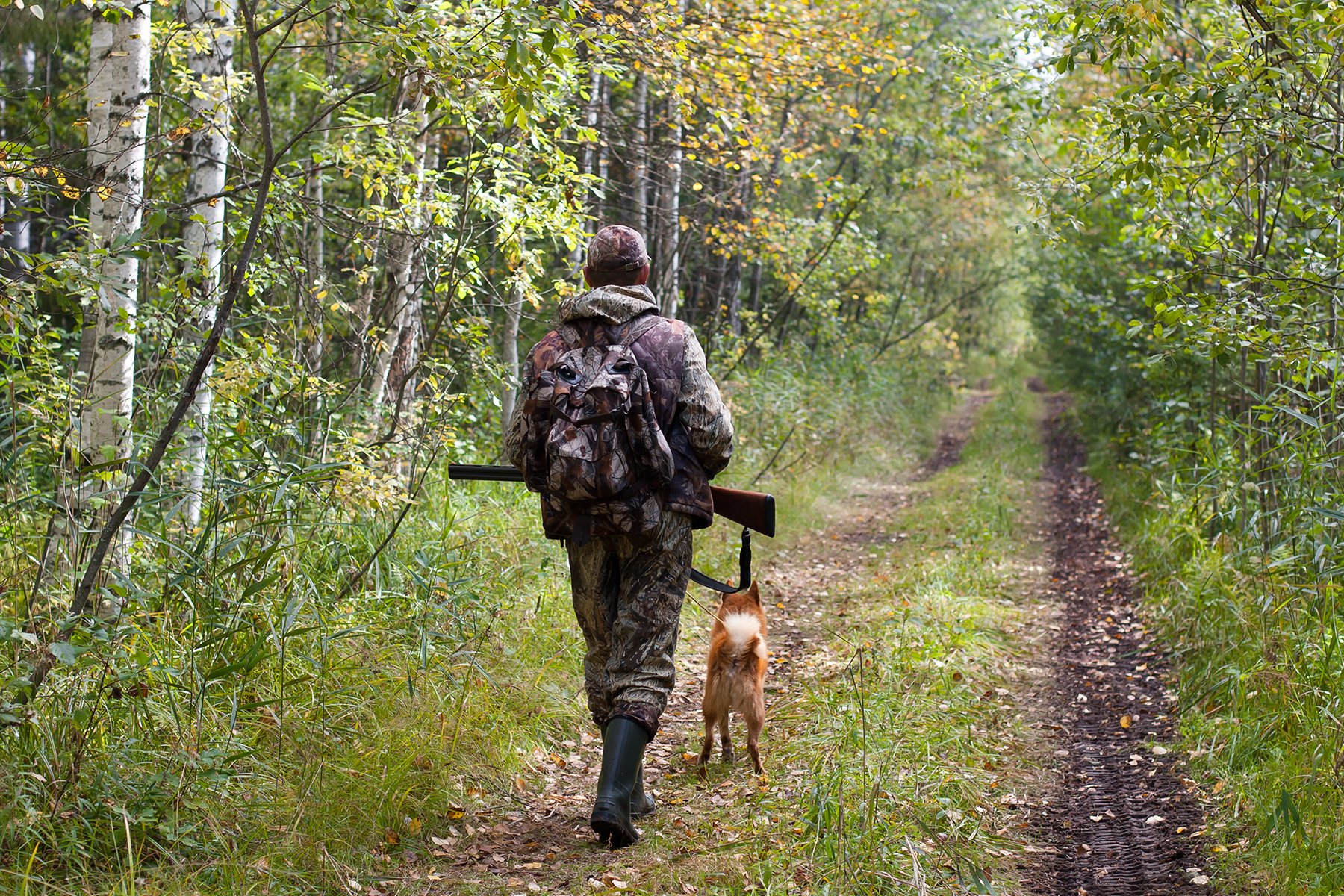 Волнуют и радуют побывать в лесу. Охотник в лесу. Охотник с собакой в лесу. Охотник со спины в лесу. Охотник с ружьем в лесу.