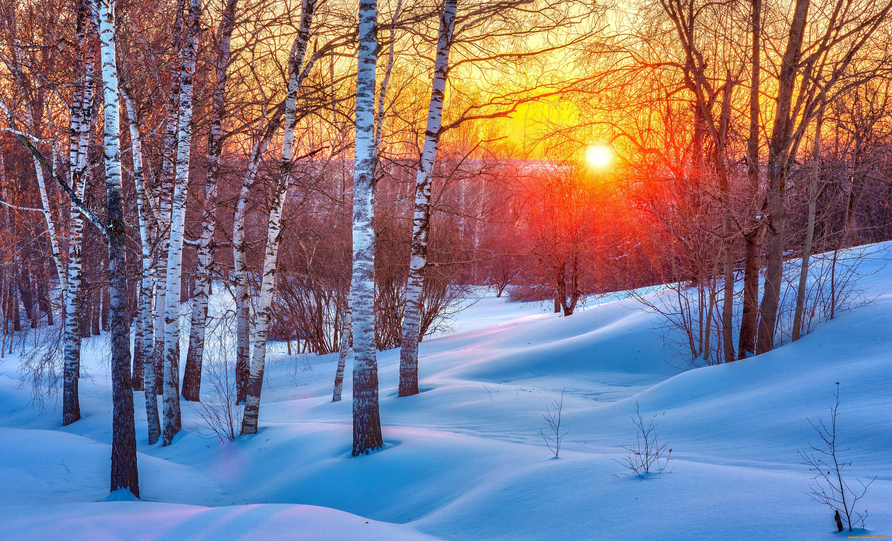 Пейзаж зимы. Зимний Солнечный пейзаж. Зимний лес солнце. Зимний Солнечный лес. Зимний пейзаж с солнцем.