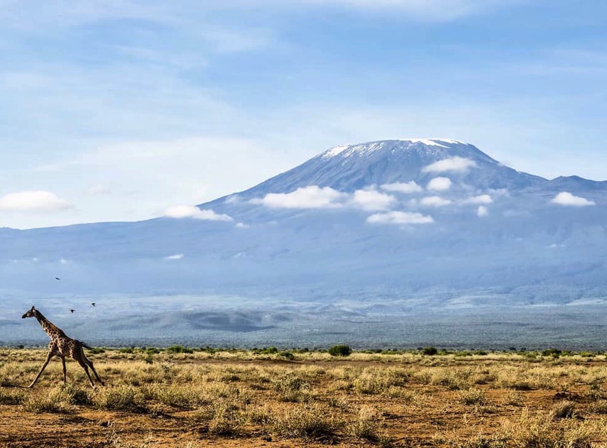 Гора Килиманджаро 2000