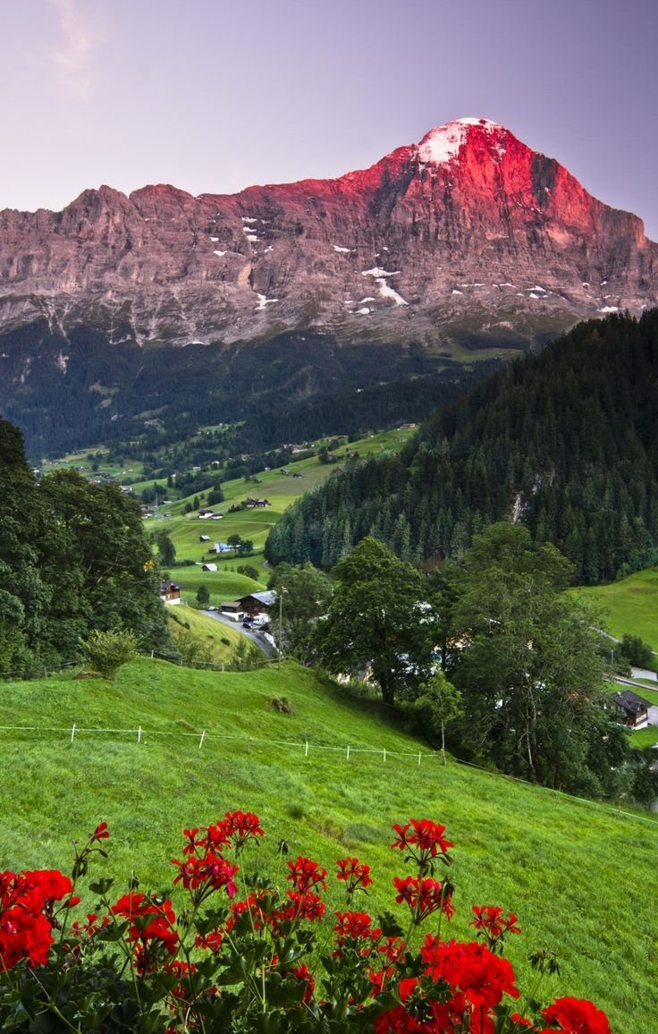 Grindelwald Швейцария