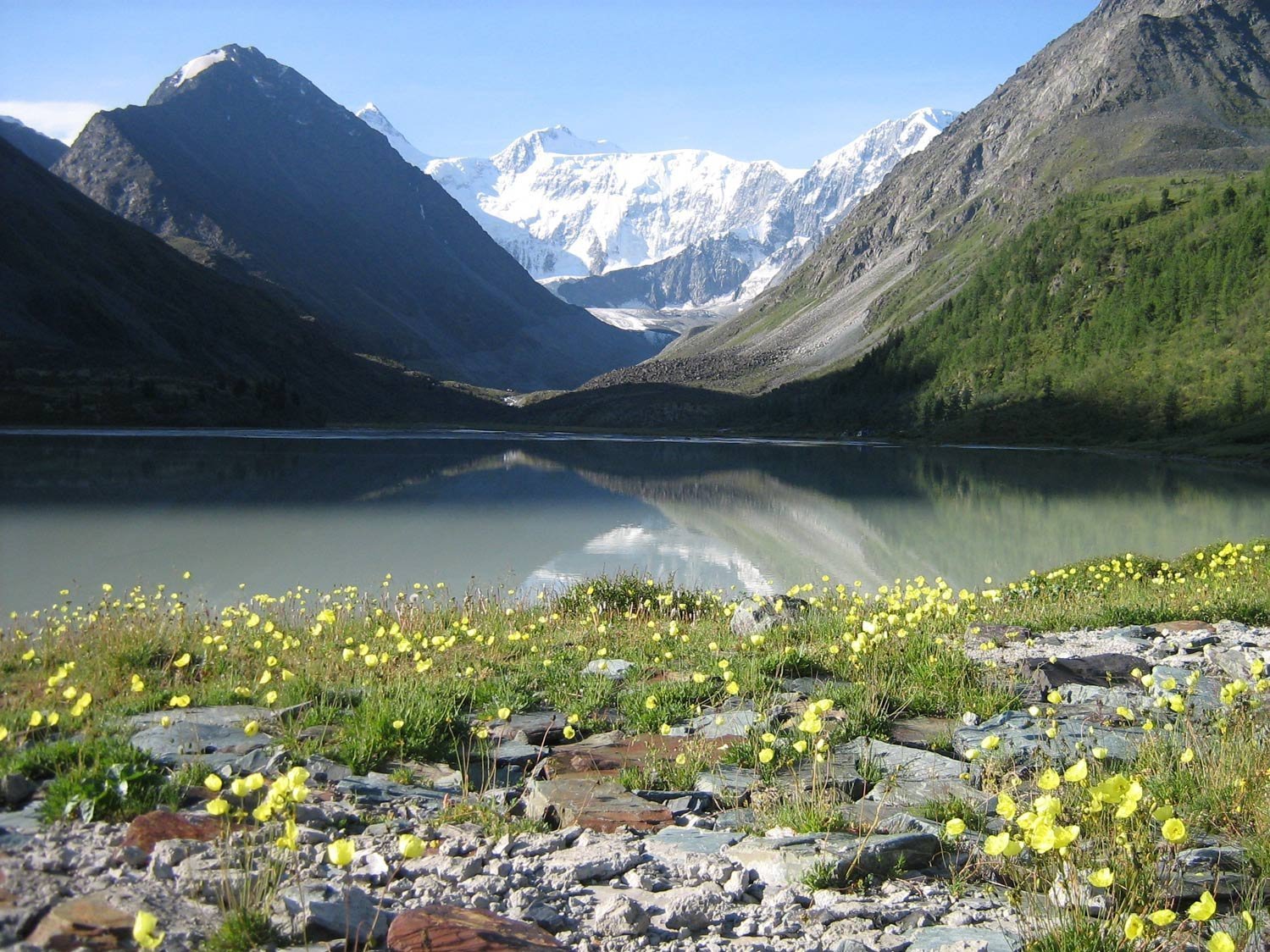 Гора Белуха горный Алтай фото