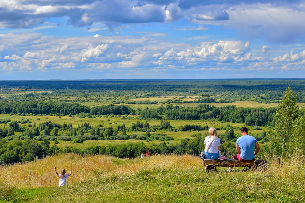 Картина лысая гора