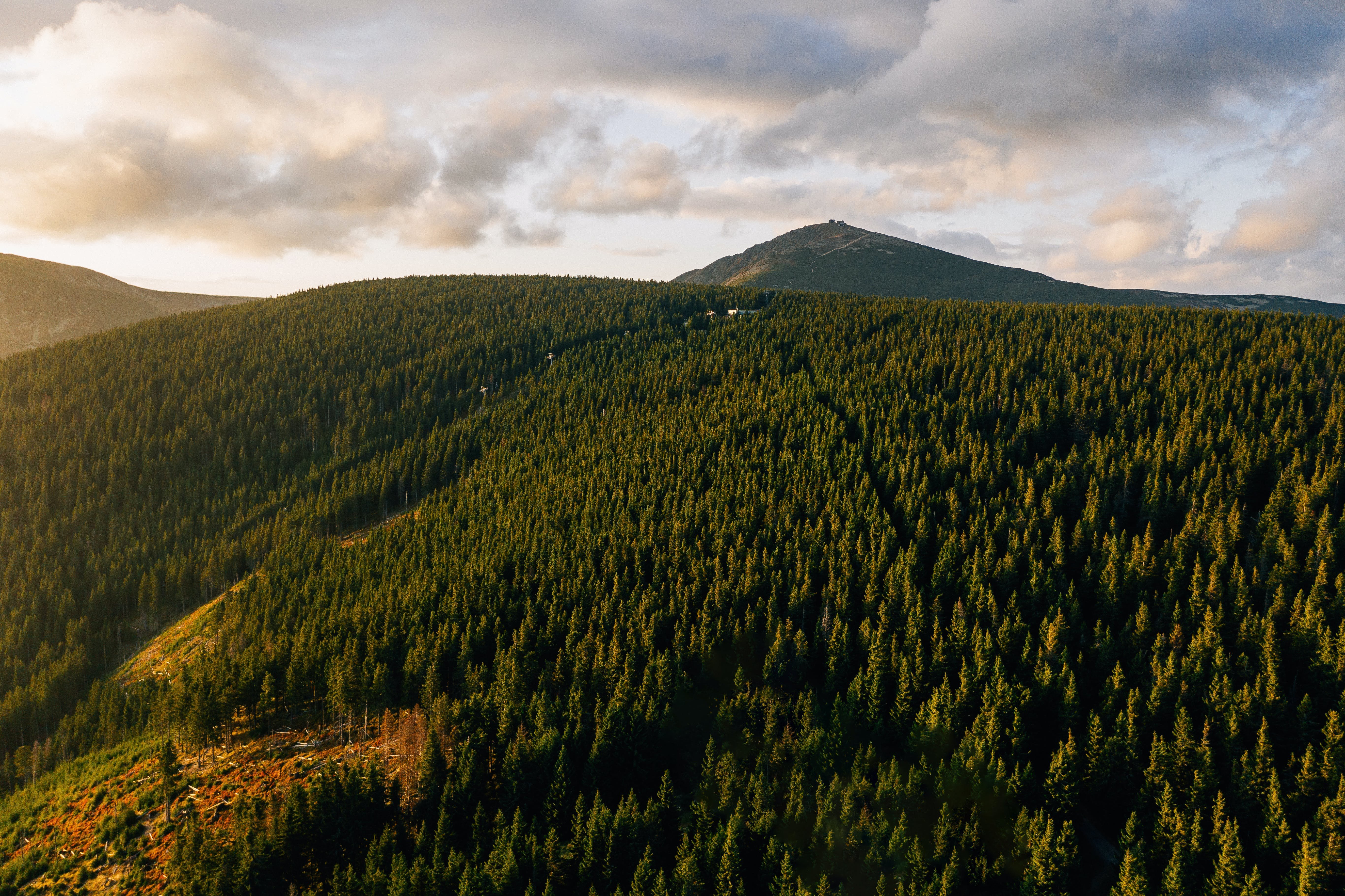 Холмы богемского леса, чешская Республика