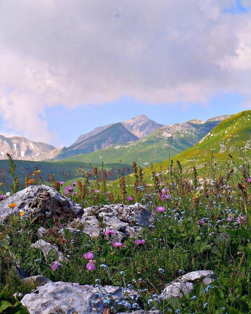 Абхазия лето Альпийские Луга