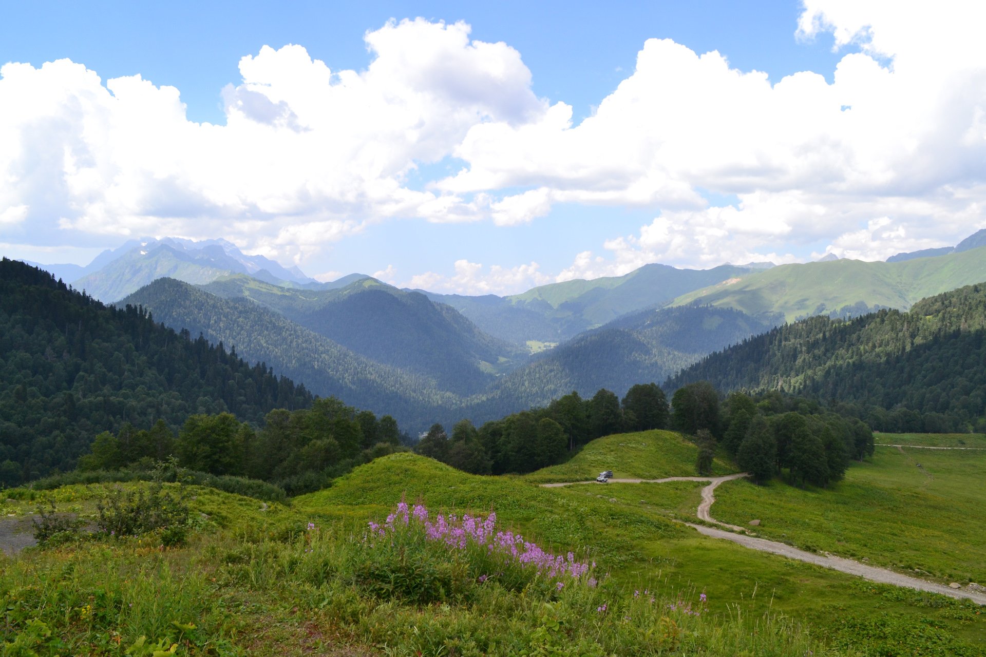Альпийские луга в абхазии фото