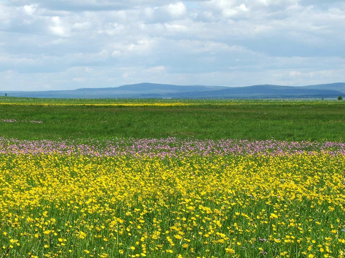 Забайкальские степи фото