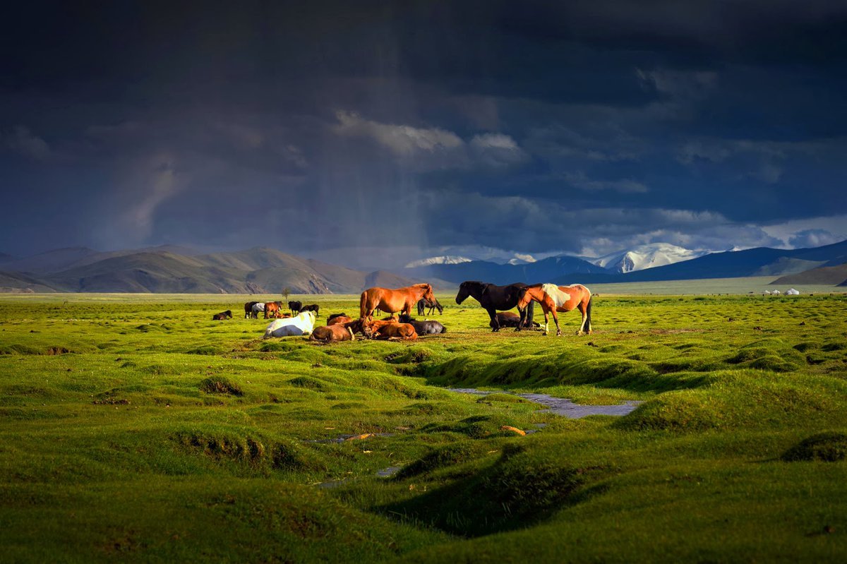 Монголия красивые пейзажи