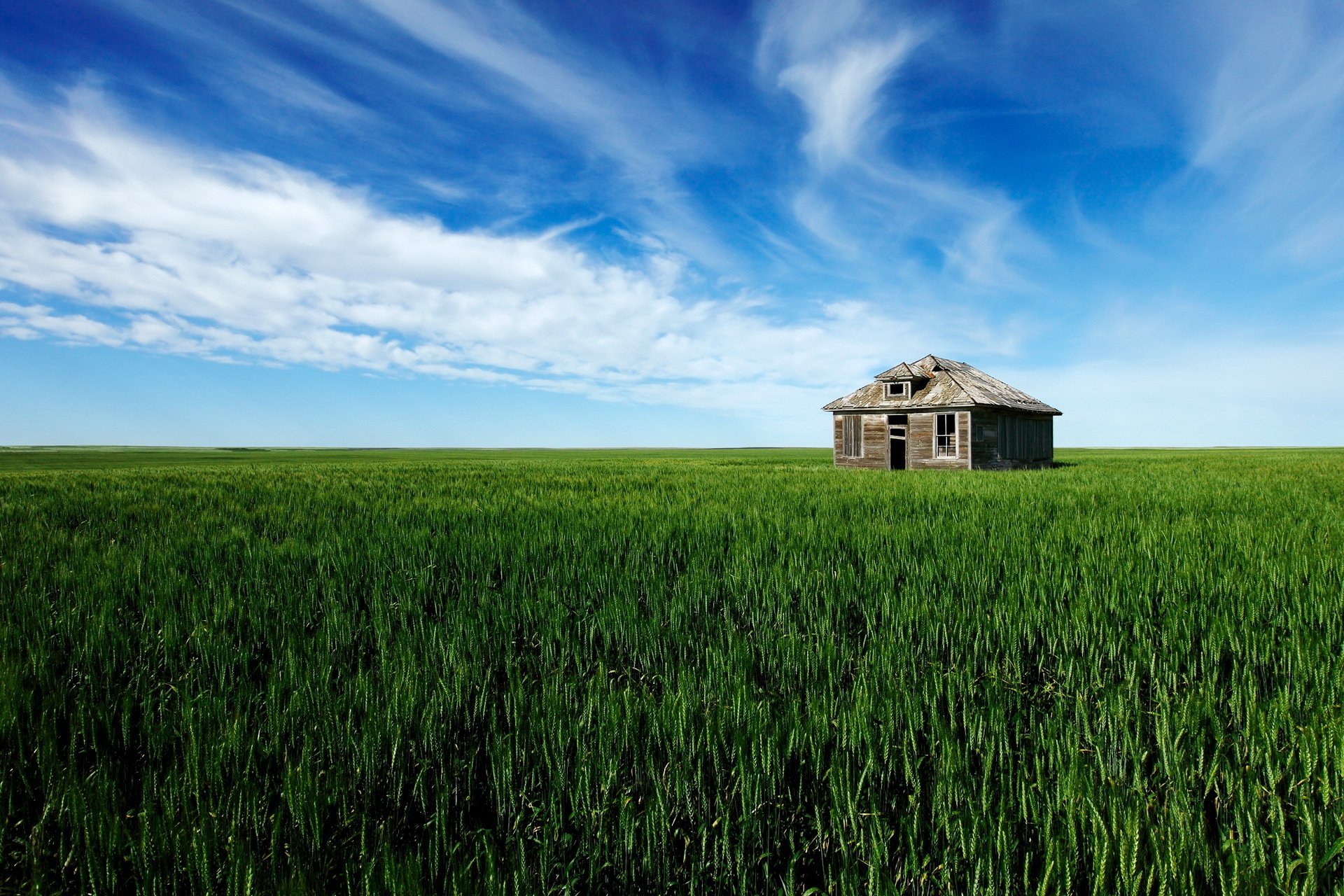 Хата фон. Дом в поле. Дом в степи. Заброшенный дом в поле. Одинокий дом в поле.