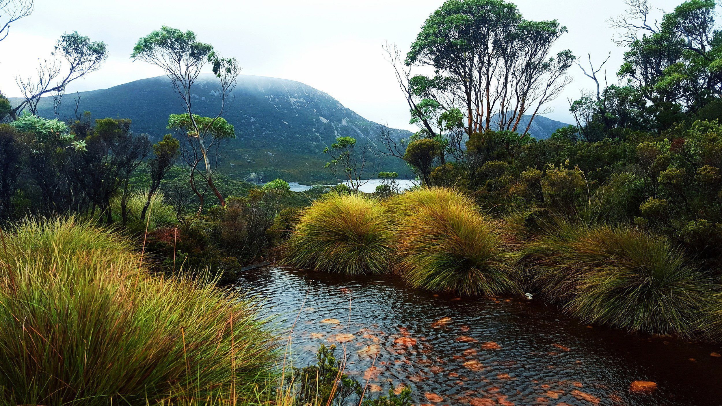 Природа австралии климат. Океания остров Тасмания. Юго-Западный национальный парк Тасмания.