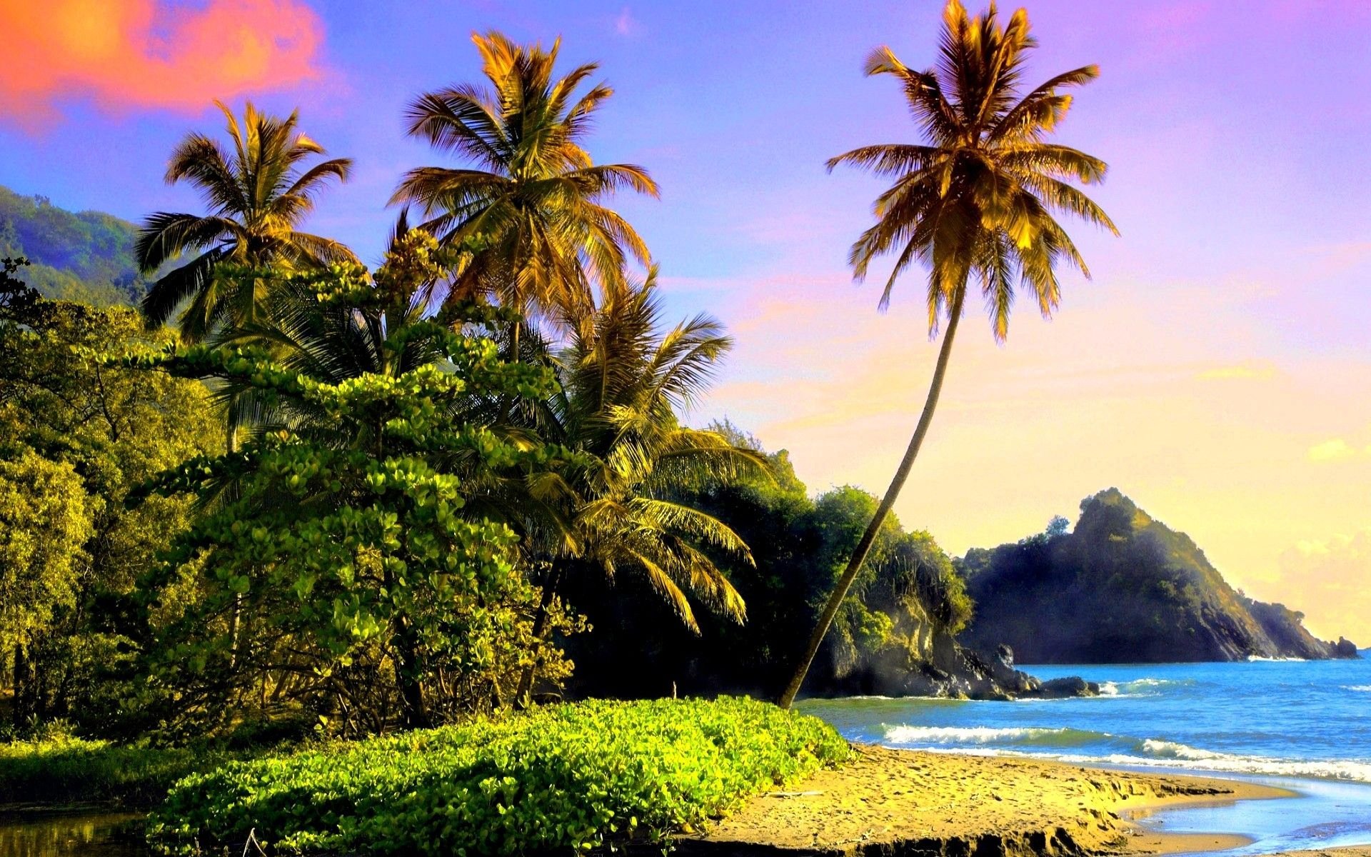 Калипсо шри ланка. Остров Оаху джунгли. Парадиз остров Карибского моря. Оаху Гавайи джунгли. Тропические острова Карибского моря.