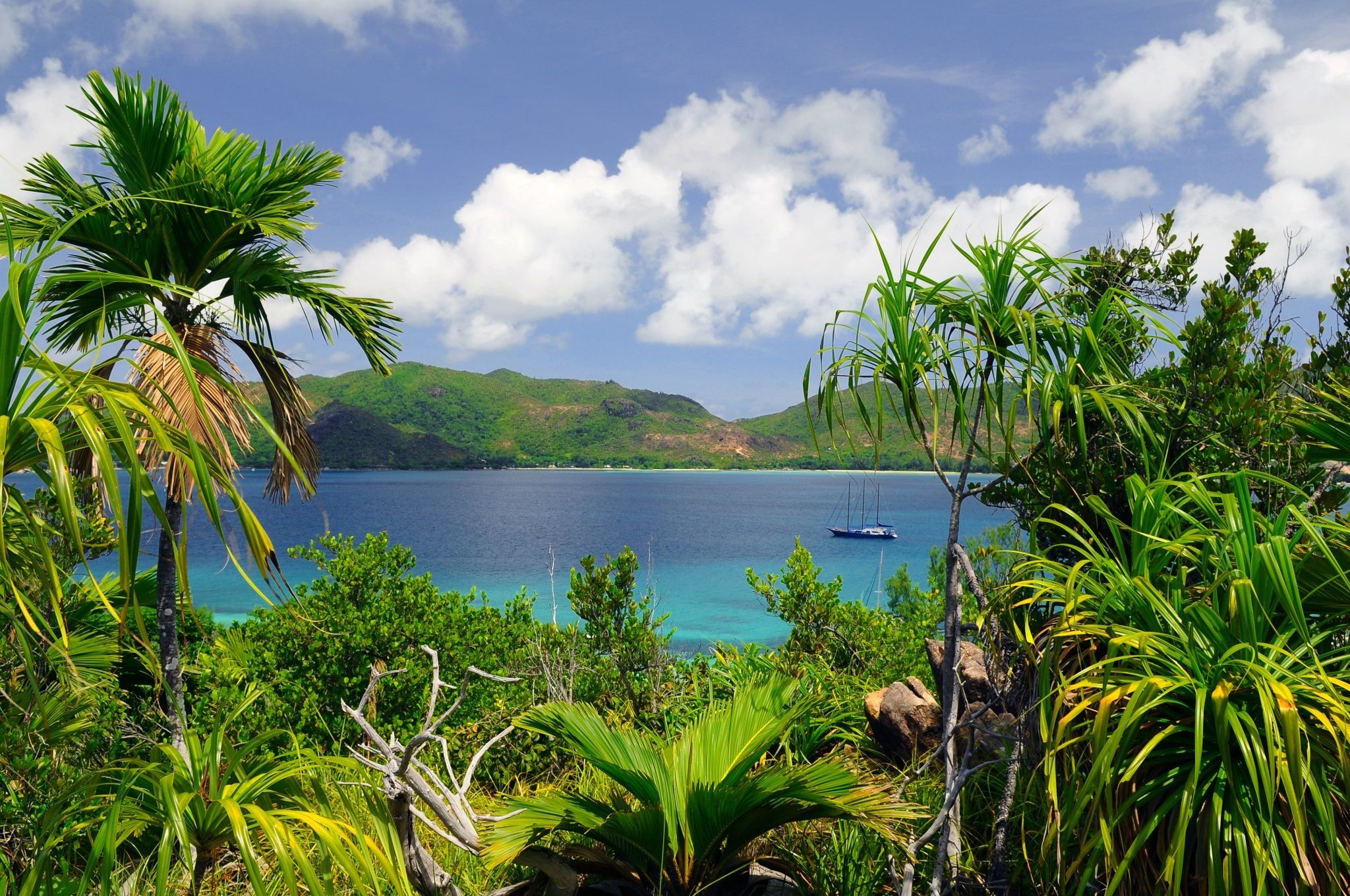 Сейшельские острова климат
