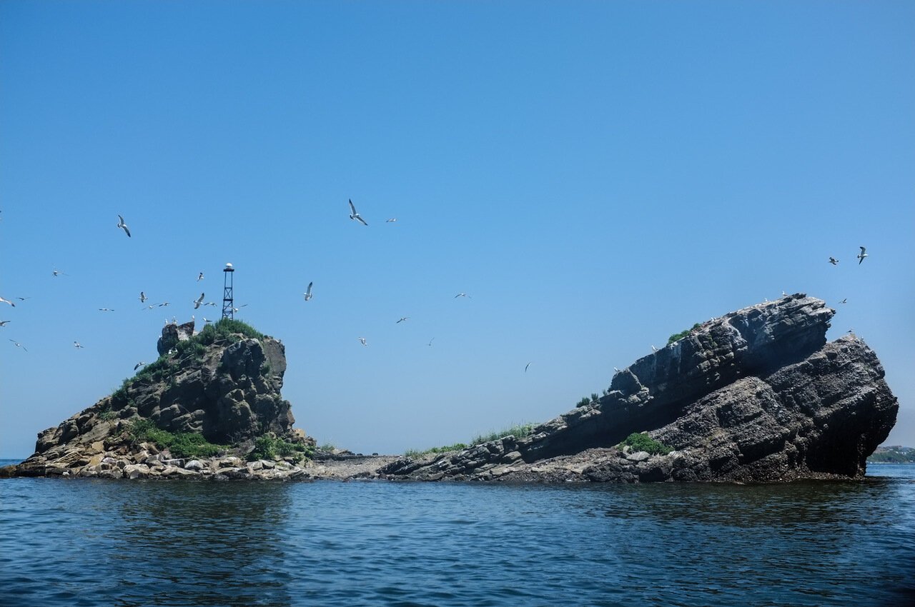 Остров уши Владивосток