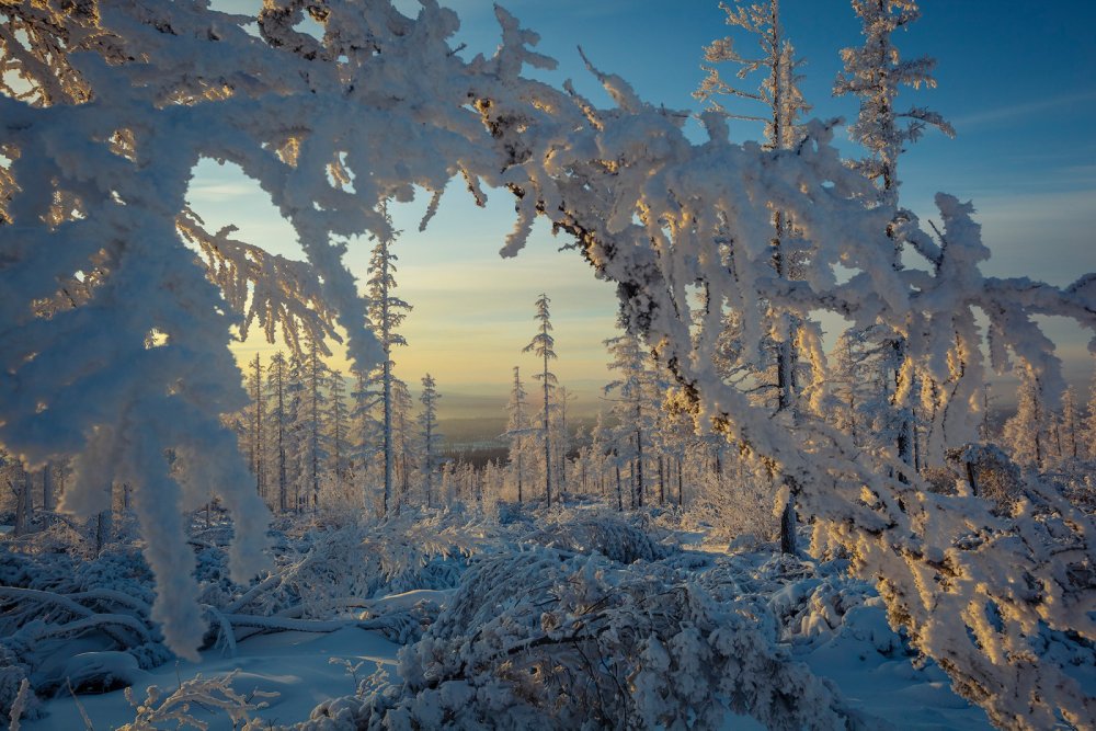 Природа Якутии зимой