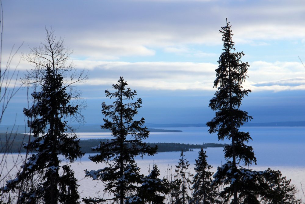 Карельский национальный парк Паанаярви зимой