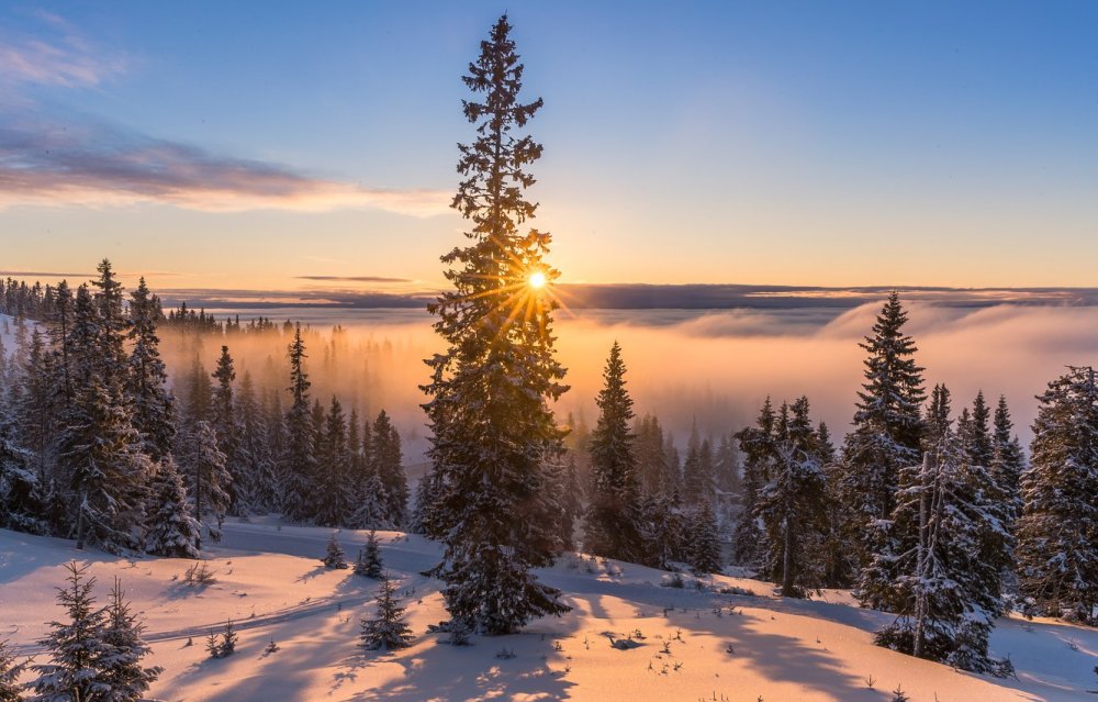 Леса Пермского края зимой