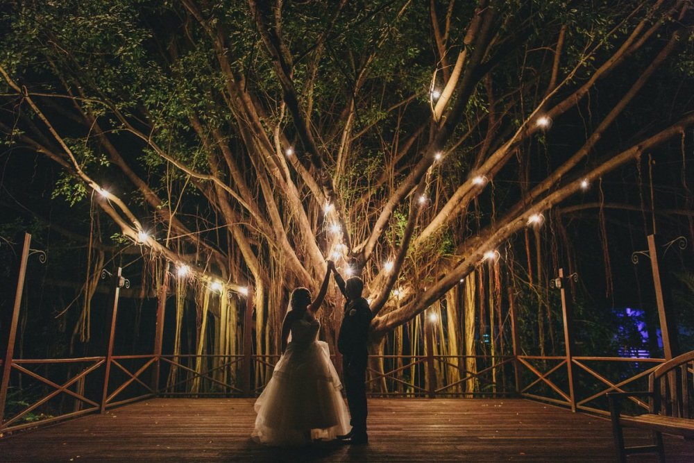 Свадьба в лесу с фонариками