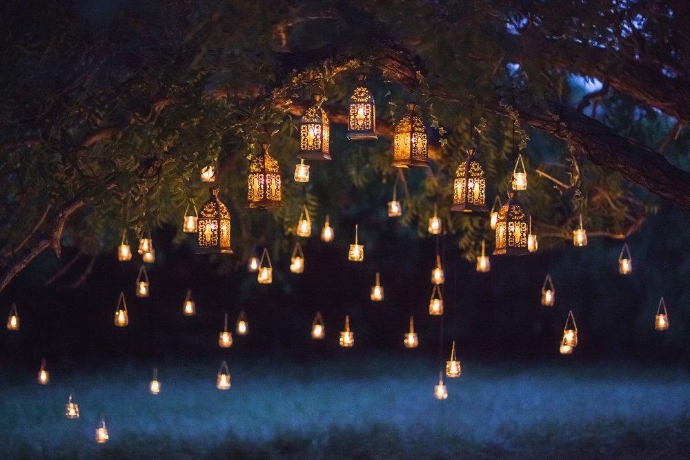 Ночной лес фонарик