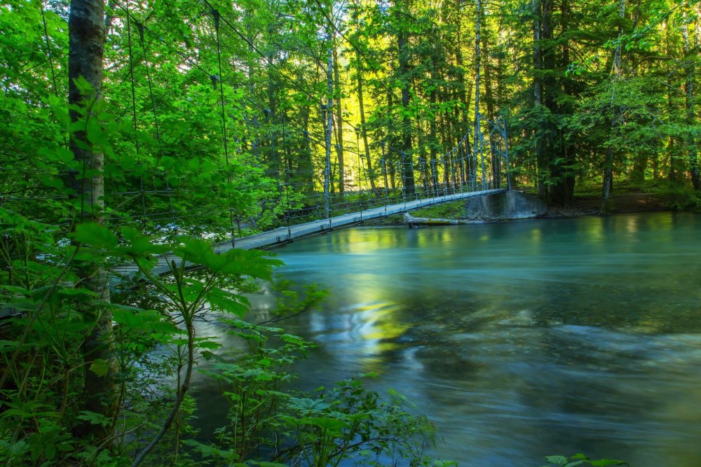 Природа лес река