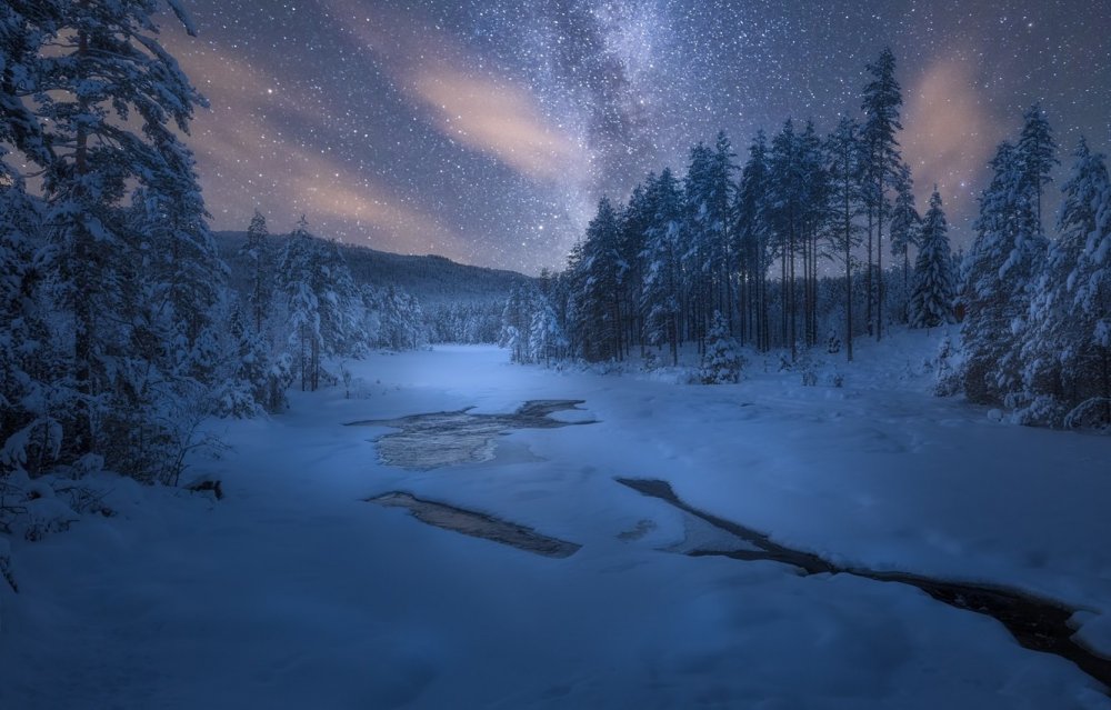 Ночной зимний пейзаж