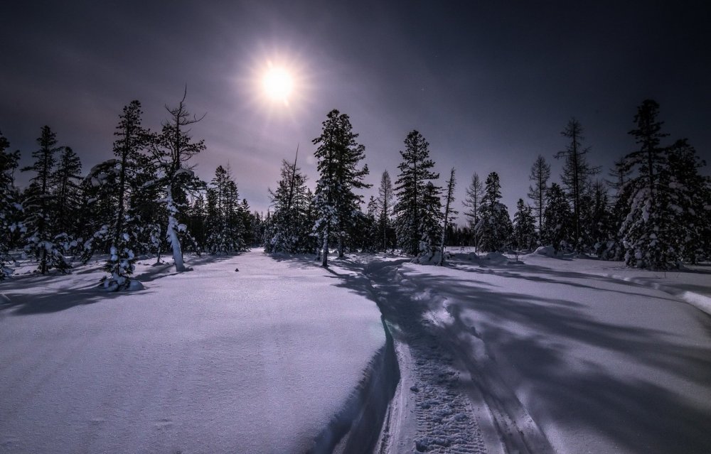 Ночь Луна снег