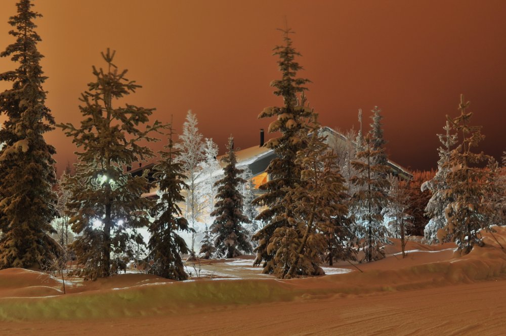 Ночной зимний пейзаж