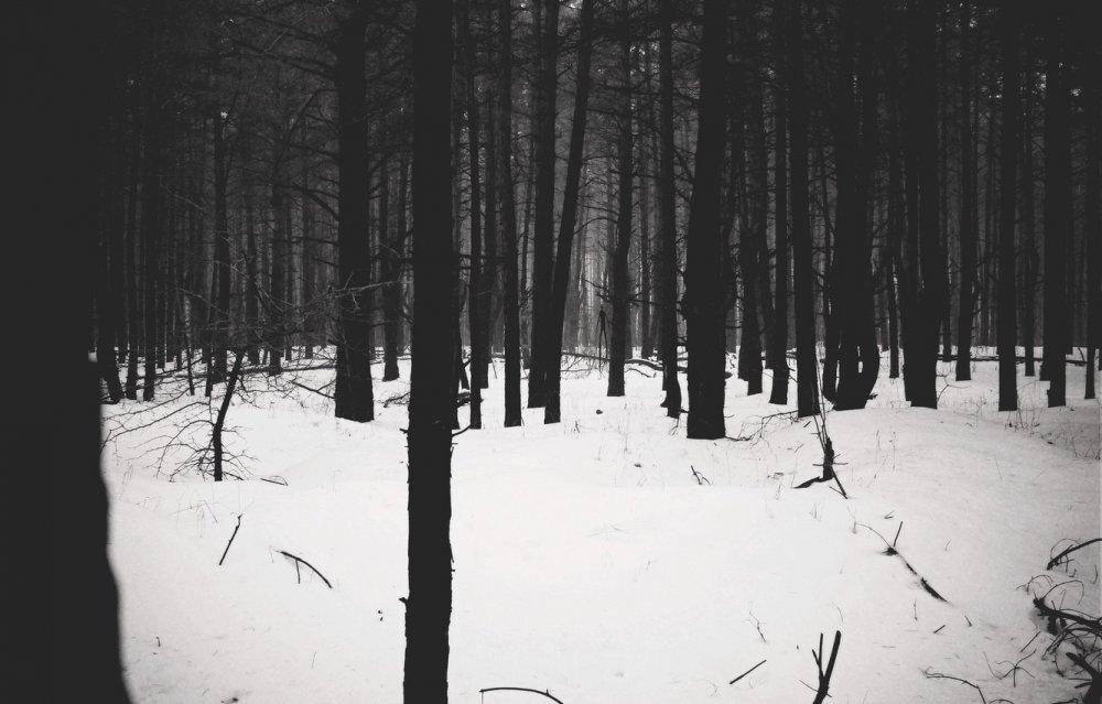 Темный лес Слендермен