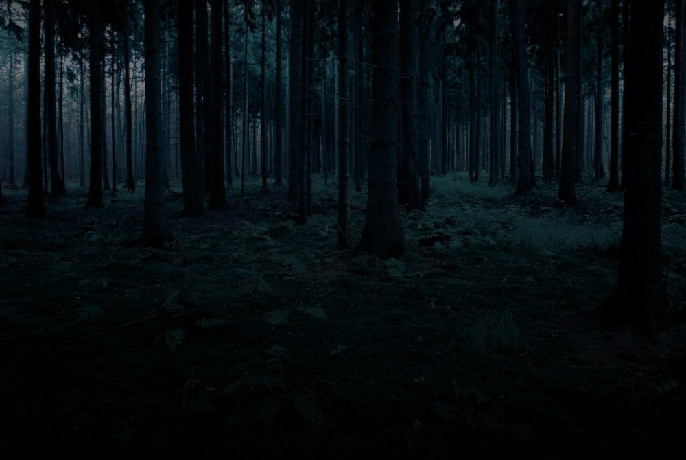 Слендермен темный лес игра