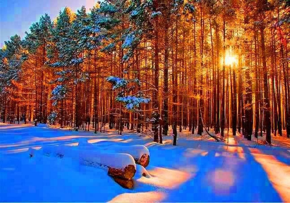 Удмуртский лес зимой