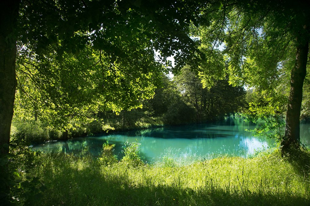 Природа лето река
