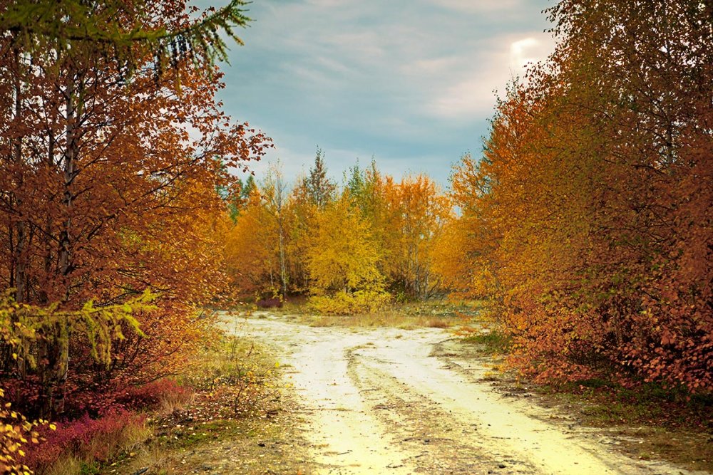 Осенние пейзажи средней полосы России