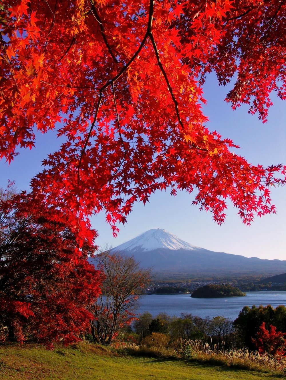 Осенний пейзаж в Хаконэ, Япония