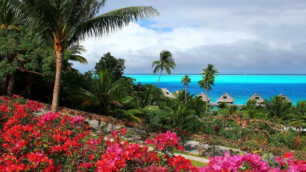 Райские острова с цветами