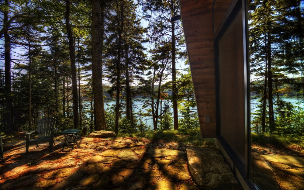 Вид из окна на Сосновый лес