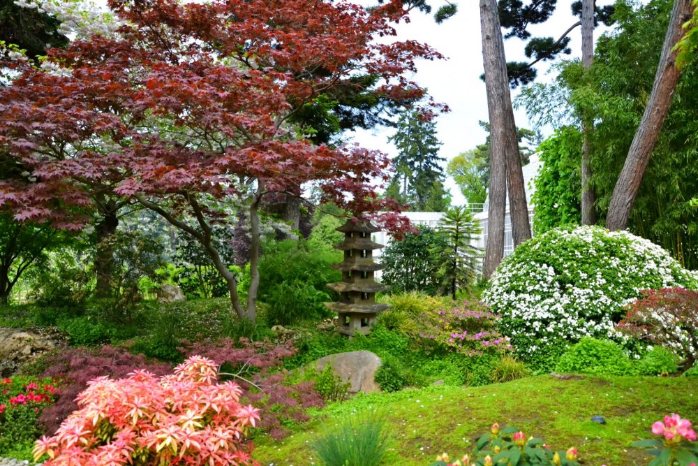Японский сад Альберта Кана