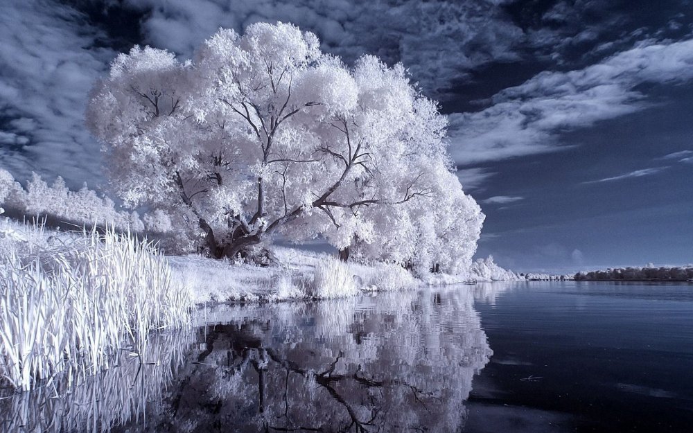 Зима река деревья